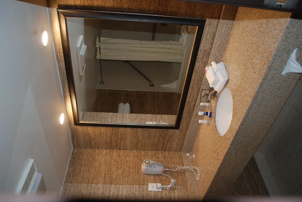 Hotel Western Detroit 3*