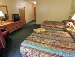Western Detroit 3* Livonia